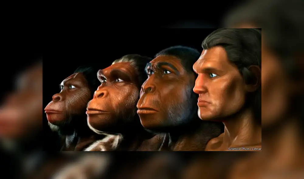 Hallan en Chile la primera huella humana más antigua de América [FOTOS]