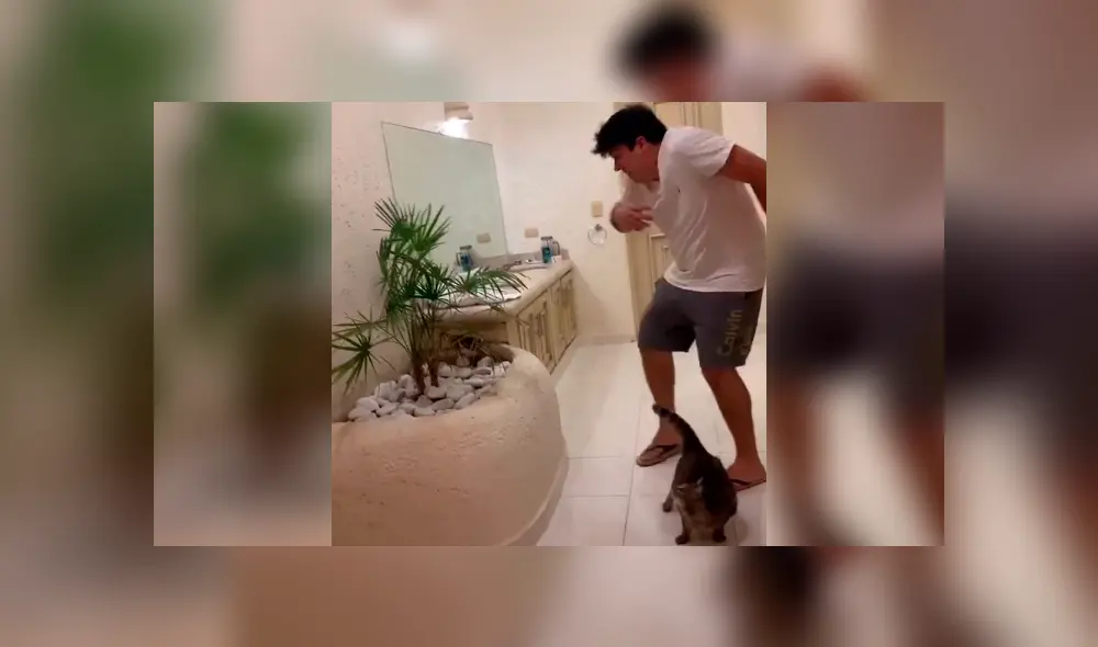 Desliza la imagen compartida en TikTok para ver todas las fotos.
