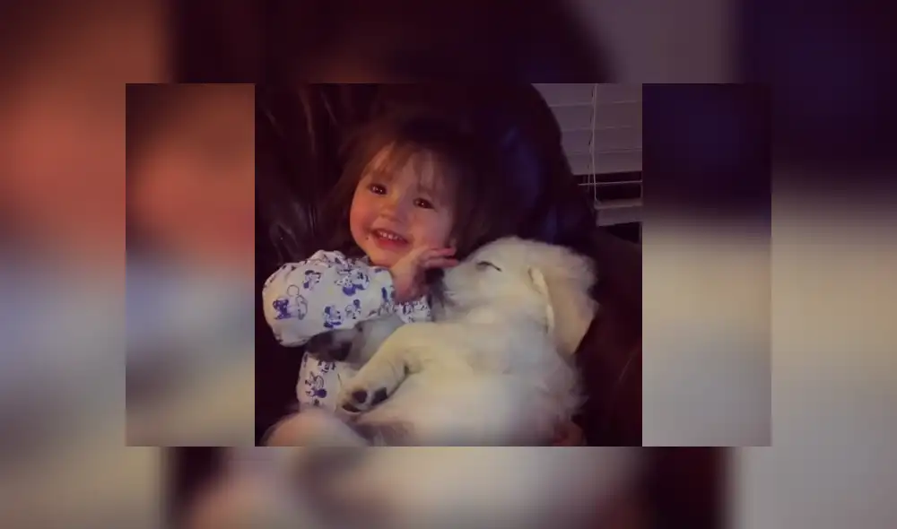 Desliza las imágenes para apreciar la amorosa escena que protagonizaron un perro junto a un pequeña. Desliza las imágenes para apreciar la amorosa escena que protagonizaron un perro junto a un pequeña.