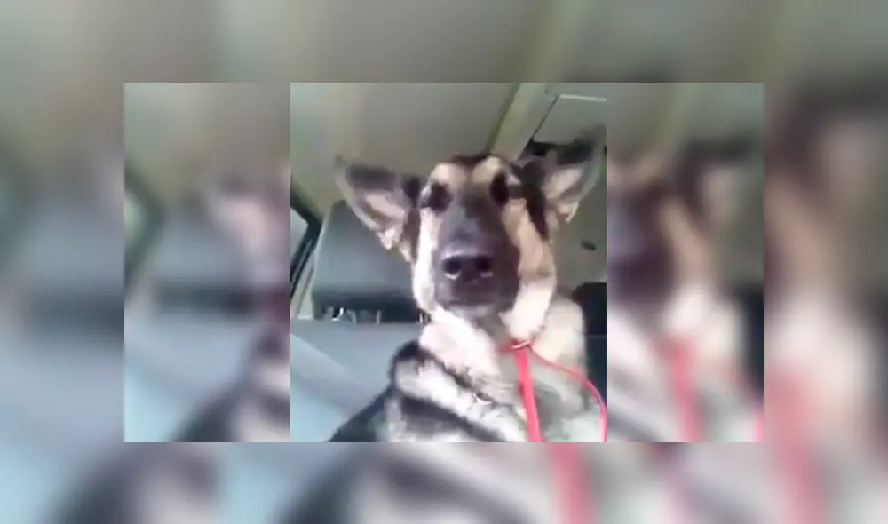 Desliza para ver los detalles del video viral de Facebook. Foto: Captura.