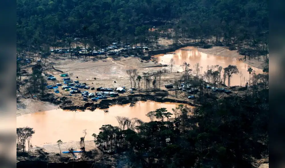 Proyecto de Aramayo le abre la puerta a la trata y a la explotación infantil Proyecto de Aramayo le abre la puerta a la trata y a la explotación infantil