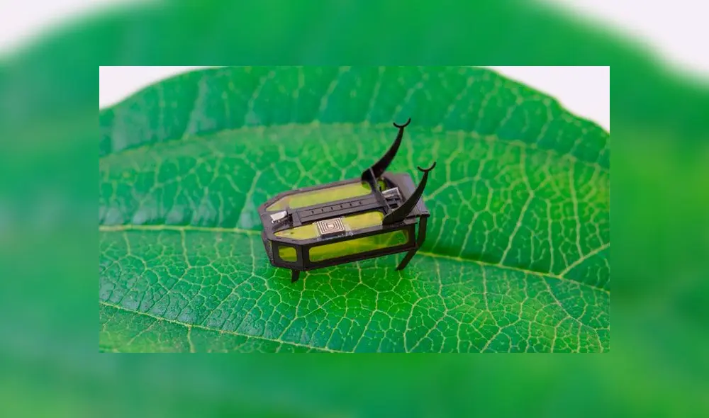 Microrobots. Foto: AFP.