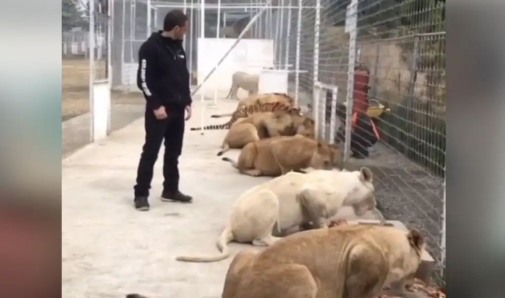 Desliza hacia la izquierda para ver las imágenes del video viral. Foto: captura de YouTube.