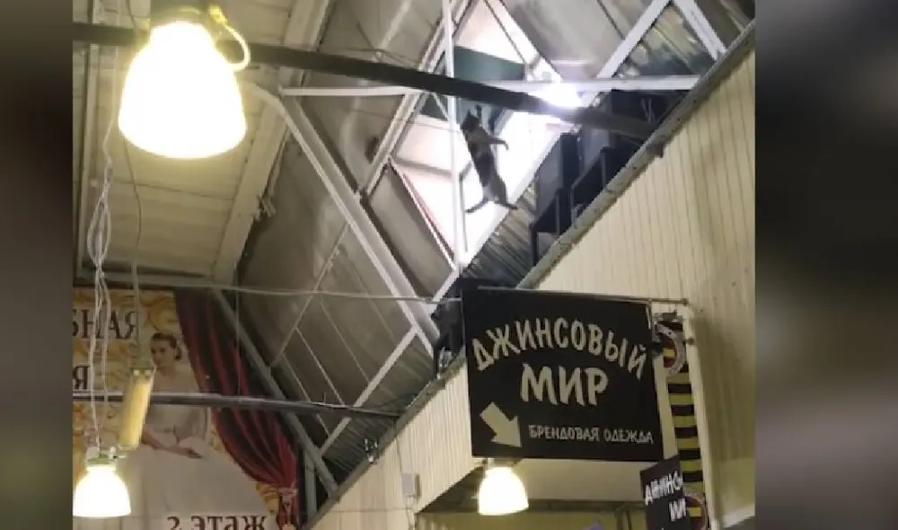 Desliza las imágenes para ver la continuación del viral. Foto: Captura/ViralHog Desliza las imágenes para ver la continuación del viral. Foto: Captura/ViralHog