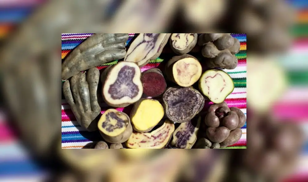 Papas nativas. Foto: Difusión Papas nativas. Foto: Difusión