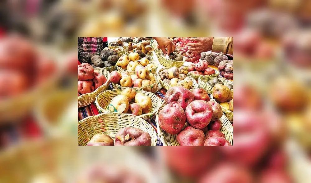 Papa peruana. Foto: Referencial