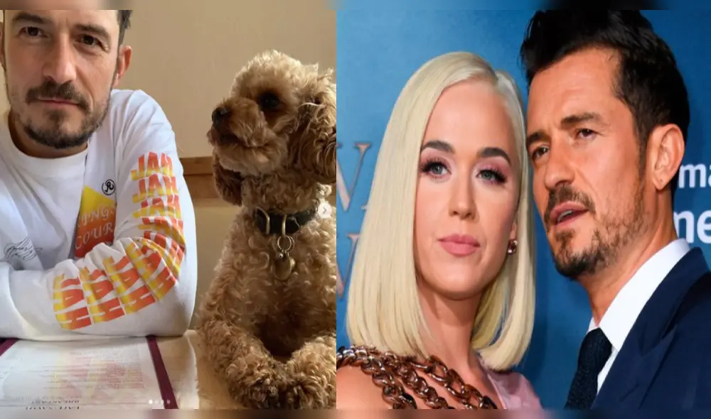 Katy Perry y Orlando Bloom destrozados al encontrar muerto a su perro Mighty tras siete días de haberse perdido Katy Perry y Orlando Bloom destrozados al encontrar muerto a su perro Mighty tras siete días de haberse perdido