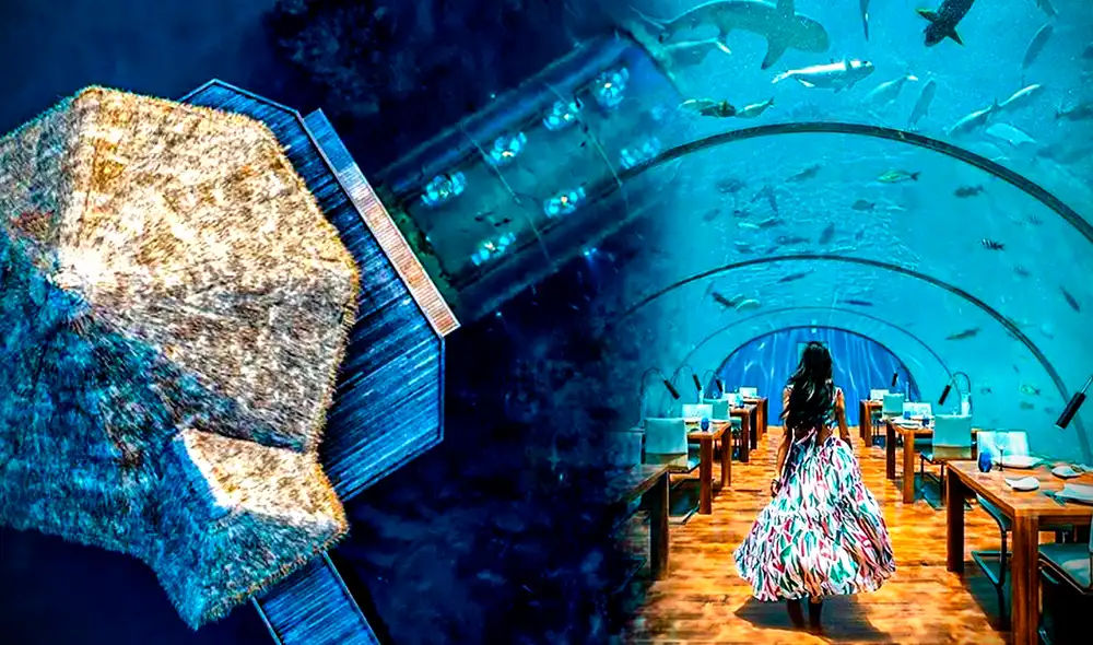 El local de Ithaa Undersea también puede ser reservado para realizar eventos, reuniones y matrimonios. Foto: Conrad Maldives Rangali Island/Instagram El local de Ithaa Undersea también puede ser reservado para realizar eventos, reuniones y matrimonios. Foto: Conrad Maldives Rangali Island/Instagram