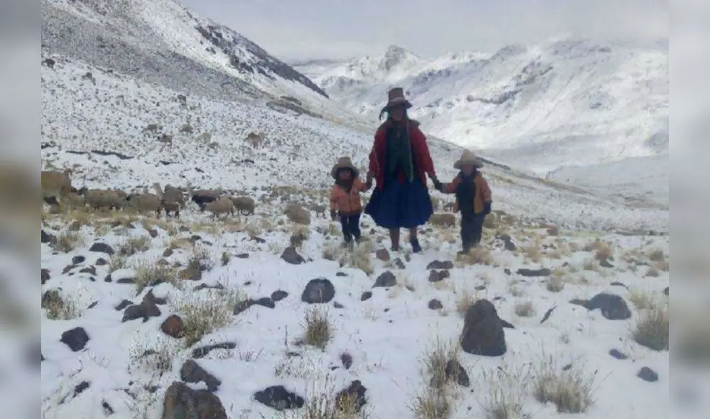 Las nevadas se presentarán en las zonas ubicadas sobre los 3 mil 800 m.s.n.m. en Arequipa. Foto: Andina Las nevadas se presentarán en las zonas ubicadas sobre los 3 mil 800 m.s.n.m. en Arequipa. Foto: Andina