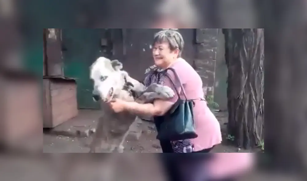 Conmovedor reencuentro de un perro con su dueña hace llorar a usuarios.