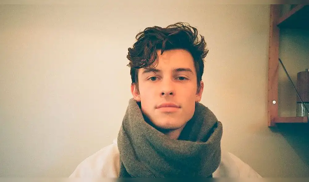 Shawn Mendes pide paciencia ante el rápido avance del COVID-19. Foto: Instagram