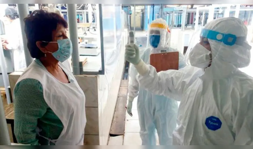 coronavirus coronavirus