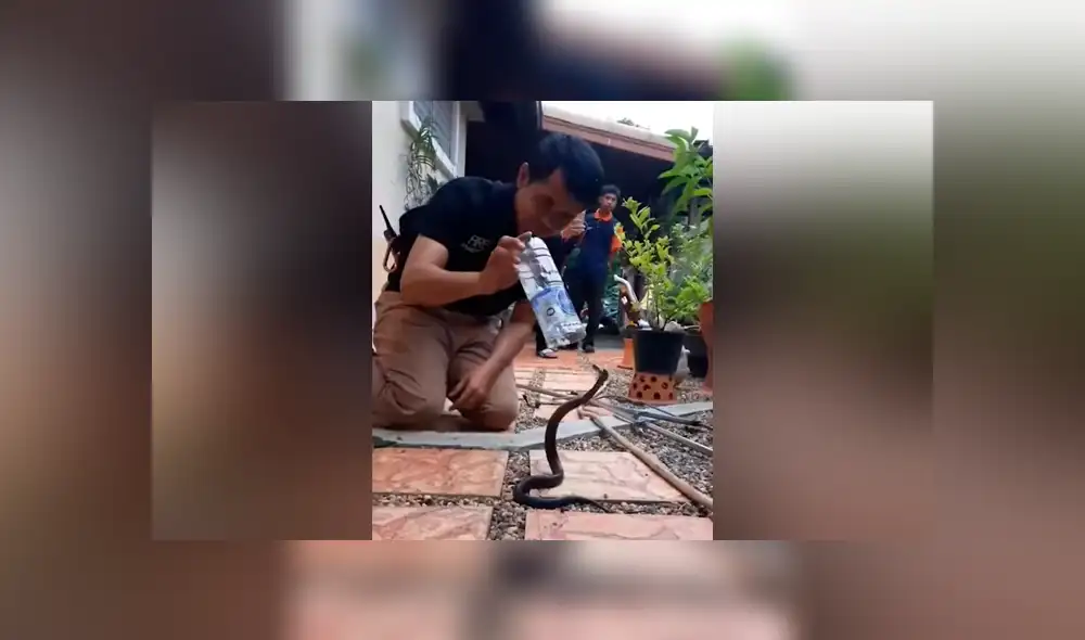Chico intenta meter peligrosa serpiente en botella de plástico, sin imaginar lo que pasaría [VIDEO]