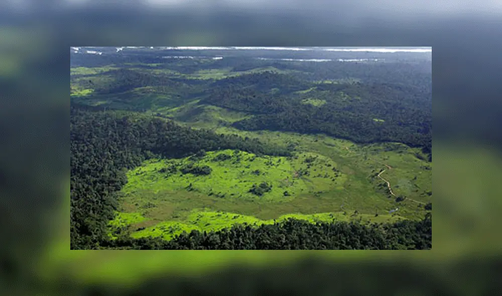 Recomendaciones para cuidar el Amazonas. Foto: AFP Recomendaciones para cuidar el Amazonas. Foto: AFP