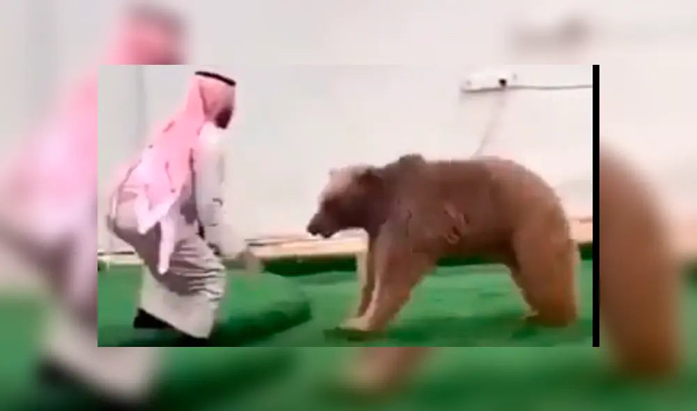 Facebook: feroz oso se lanza sobre un príncipe árabe y deja asombrado a miles de usuarios [VIDEO]