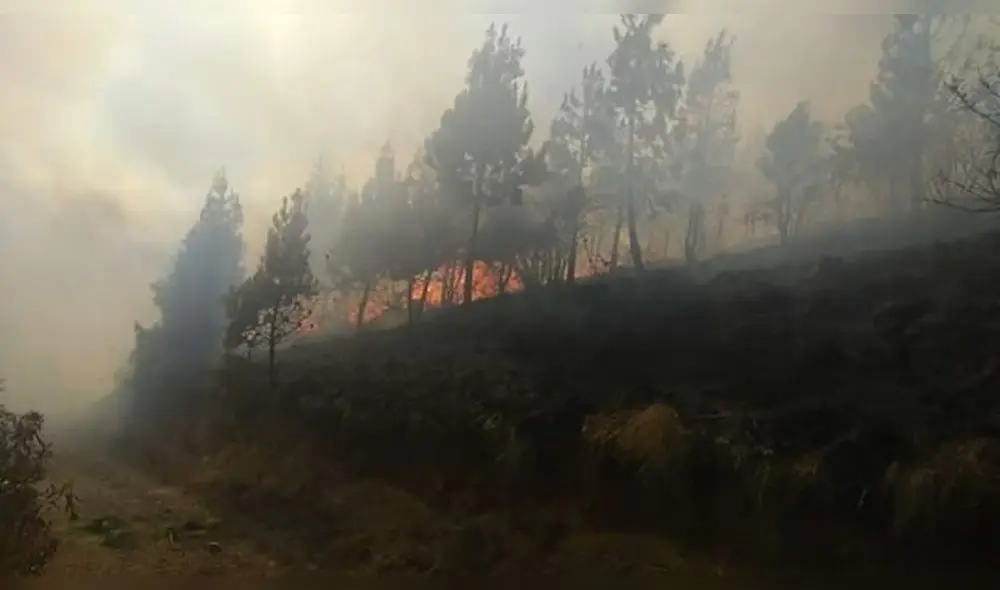 Incendio Parque del Manu Incendio Parque del Manu