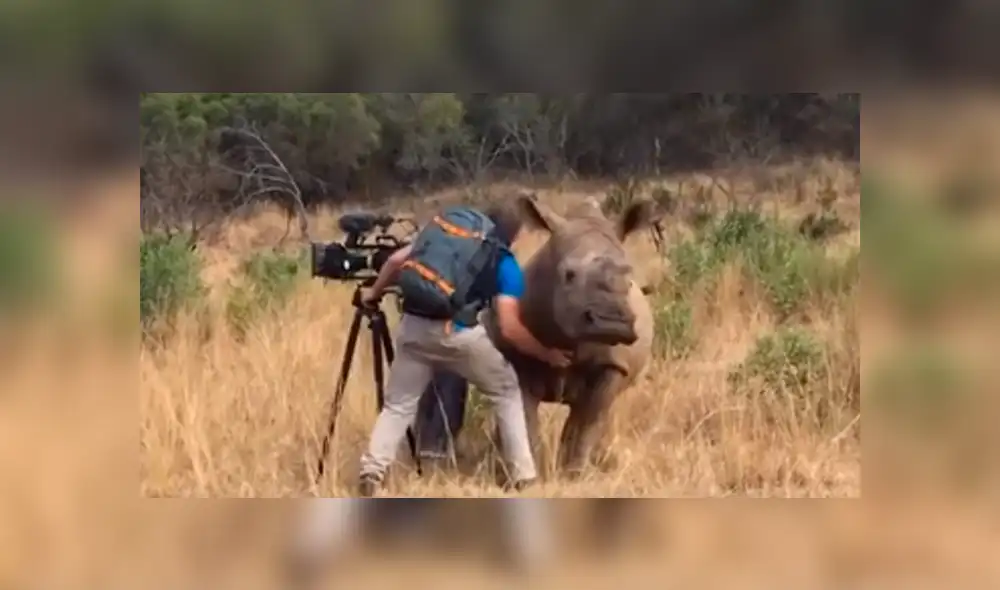 Desliza las imágenes hacia la izquierda para apreciar la sentimental escena protagonizada por un rinoceronte.