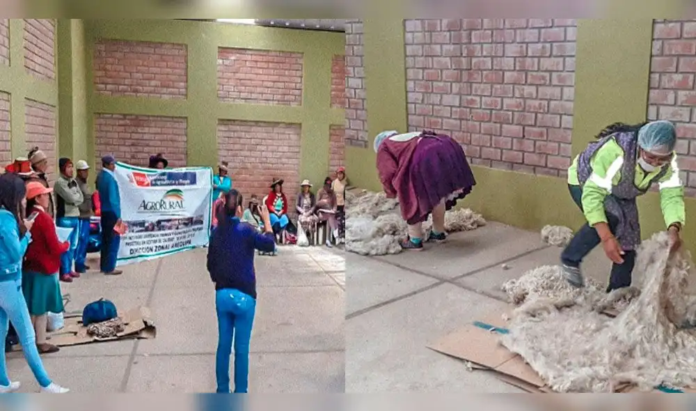 Fueron capacitados productores de Caylloma y Castilla.