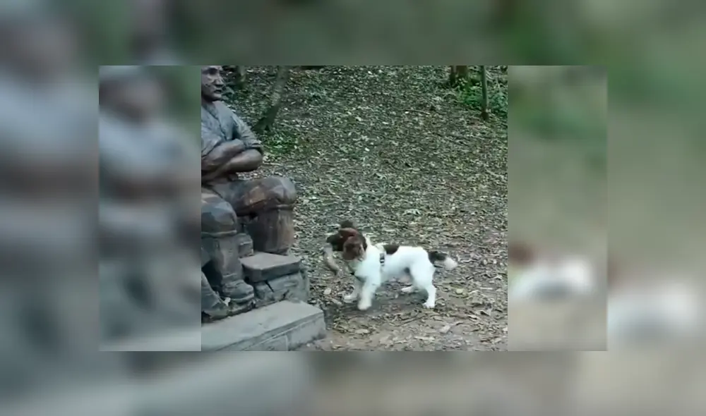 En Facebook, un tierno perro se emocionó con una estatua al creer que se trataba de su fallecido dueño.