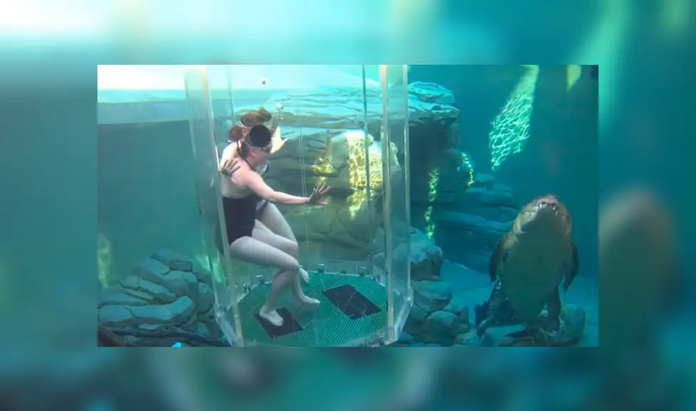 YouTube viral: chicas se sumergen en santuario de enorme cocodrilo y quedan horrorizadas 