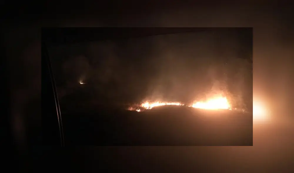 COER atendió este sábado seis incendios forestales en Iñapari, Iberia, Tampopata, Laberinto e Inambari. (Foto: Alcaldía de Iñapari)