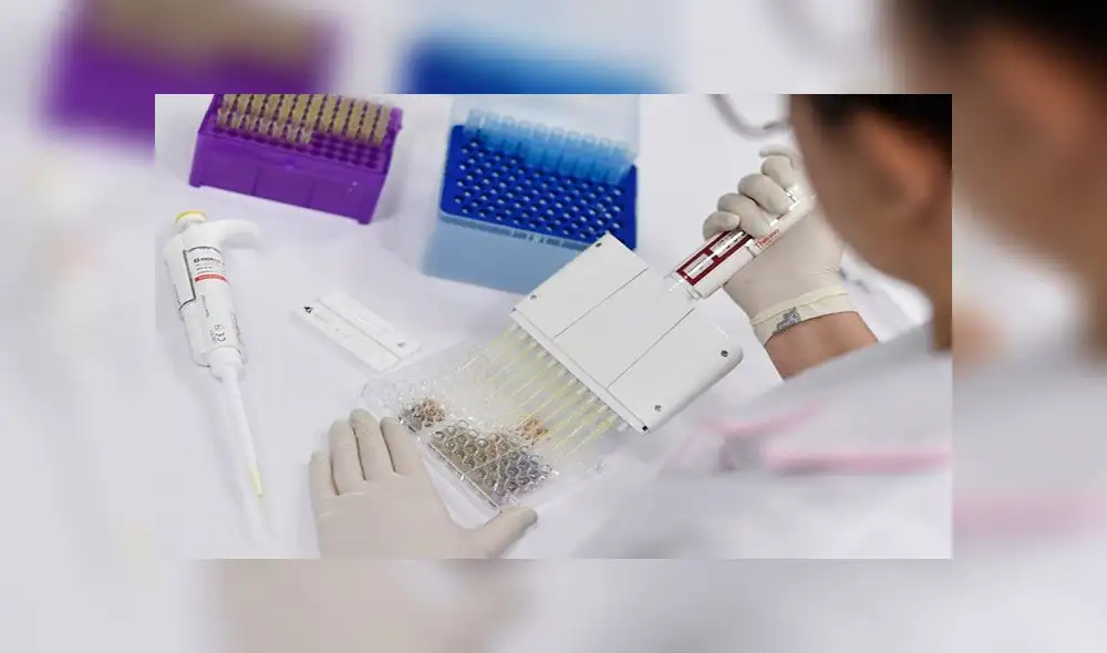 En los primeros días del próximo mes tienen previsto arrancar con las investigaciones, indicó el ministro de Salud chileno, Enrique Paris. Foto: AFP (referencial) En los primeros días del próximo mes tienen previsto arrancar con las investigaciones, indicó el ministro de Salud chileno, Enrique Paris. Foto: AFP (referencial)