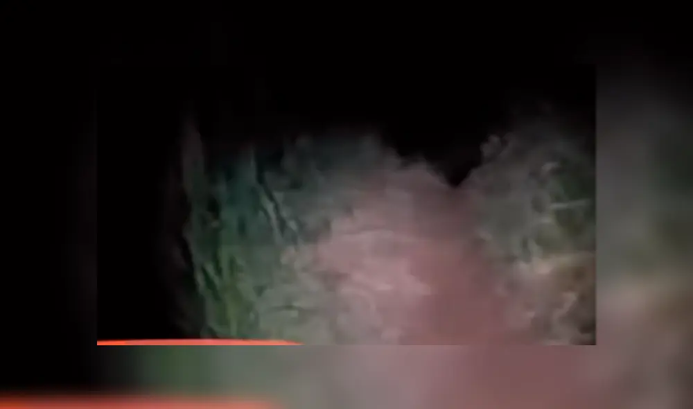 Jóvenes youtubers ingresan a bosque de madrugada y se topan con aterradora criatura. Jóvenes youtubers ingresan a bosque de madrugada y se topan con aterradora criatura.