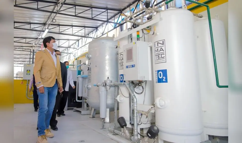 Observaron. Compra de plantas en gestión de Cáceres.