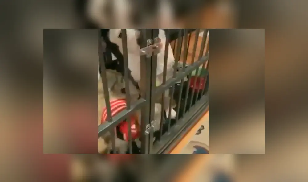 Desliza para ver los momento más impresionantes del video que se hizo viral en Facebook. Desliza para ver los momento más impresionantes del video que se hizo viral en Facebook.