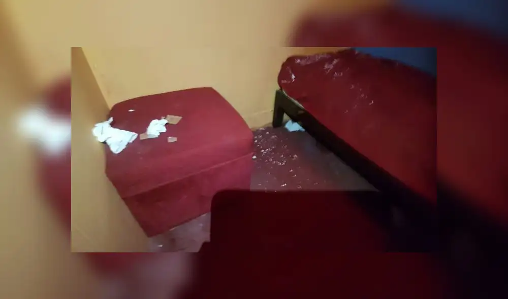 Local funcionaba como bar, pese a que no contaban con la licencia de funcionamiento. Local funcionaba como bar, pese a que no contaban con la licencia de funcionamiento.