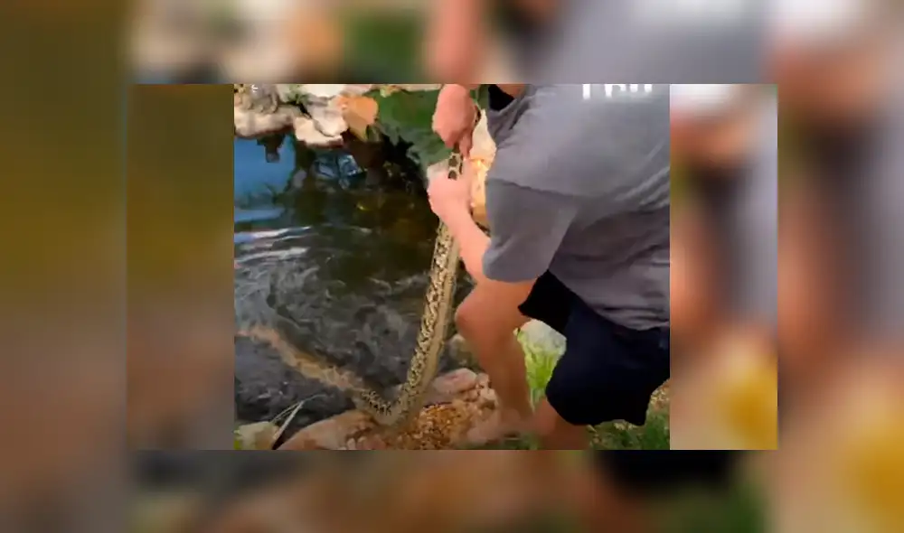 El protagonista del video viral de Facebook atrapó a una letal criatura. El protagonista del video viral de Facebook atrapó a una letal criatura.