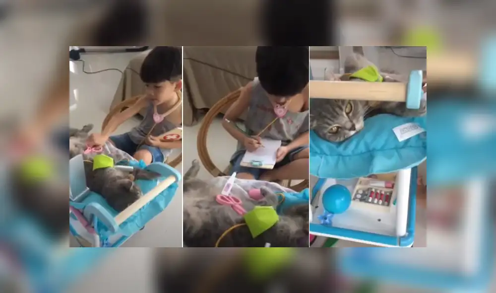 Desliza las imágenes para ver más detalles de esta tierna escena que es viral en YouTube. (Foto: captura)