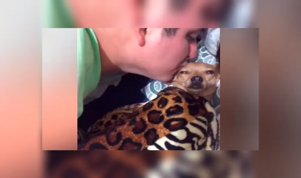 En Facebook, un joven fue captado en una amorosa escena al lado de un perro que rechazó para adoptarlo. En Facebook, un joven fue captado en una amorosa escena al lado de un perro que rechazó para adoptarlo.