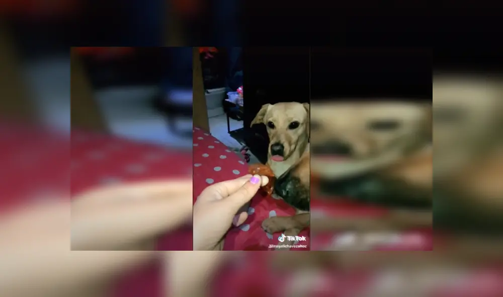 Desliza las imágenes para ver más detalles de esta divertida escena que es viral en Facebook. (Foto: captura)