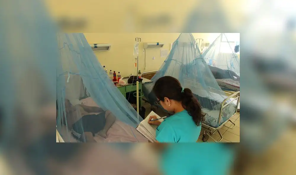 Piura: Se elevan a 19 los fallecidos por el virus del dengue