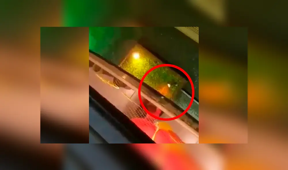 Desliza las imágenes para apreciar el conmovedor gesto que tuvieron unos trabajadores de limpieza con un niño. Desliza las imágenes para apreciar el conmovedor gesto que tuvieron unos trabajadores de limpieza con un niño.