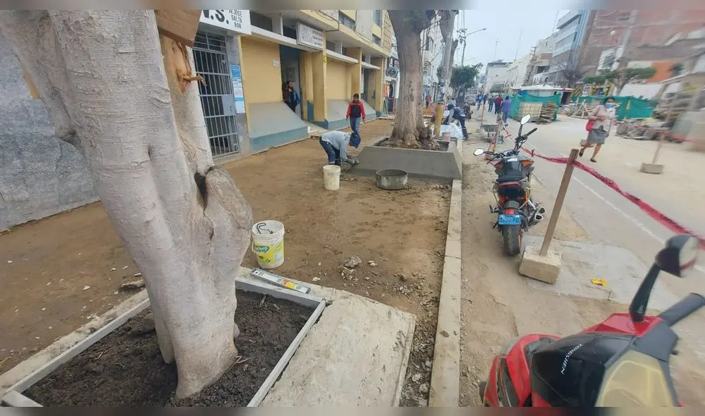 Los integrantes de Conredes señalaron que en la construcción de las jardineras no hay una alineación con relación al sardinel. Foto: Clinton Medina/La República Los integrantes de Conredes señalaron que en la construcción de las jardineras no hay una alineación con relación al sardinel. Foto: Clinton Medina/La República