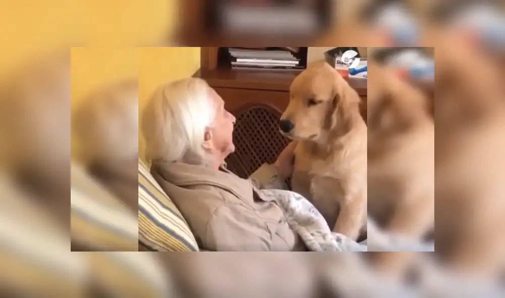 Desliza las imágenes para ver más detalles de esta tierna escena que es viral en Facebook.