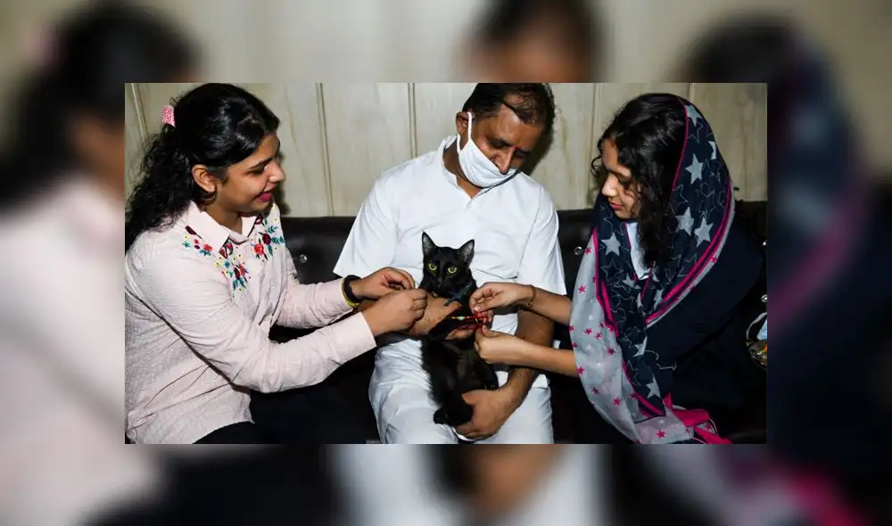 El medicamento es usado contra un coronavirus felino y según activistas podría ser efectivo contra el SARS-CoV-2. Foto: referencial / AFP