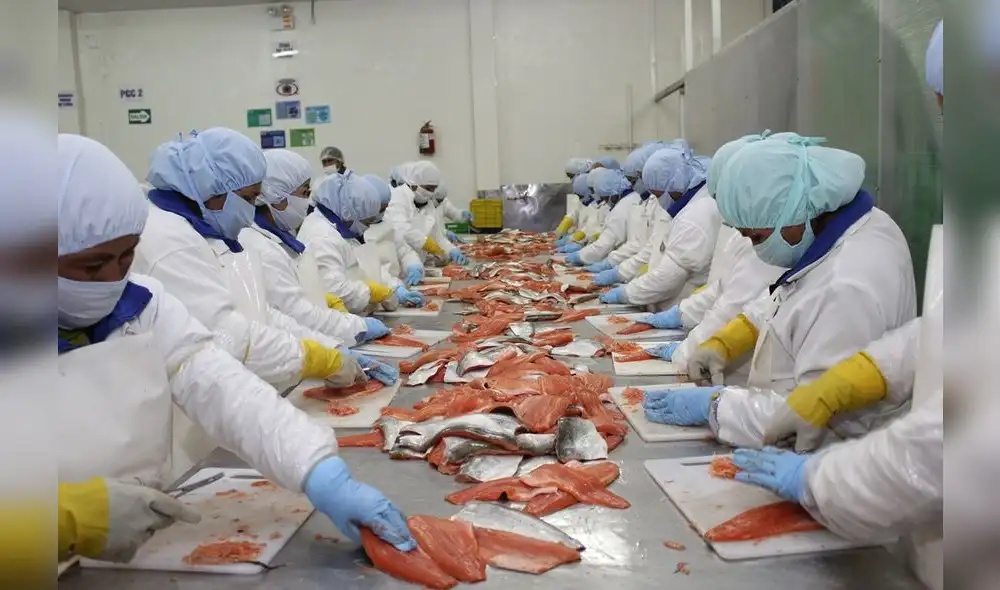 La pesca es la actividad más golpeada en el primestre del año debido al COVID-19. Foto: Difusión La pesca es la actividad más golpeada en el primestre del año debido al COVID-19. Foto: Difusión