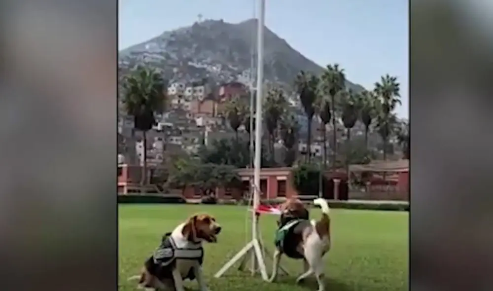 Las imágenes han llenado de orgullo a todos los peruanos. Foto: Captura/Facebook/PNP