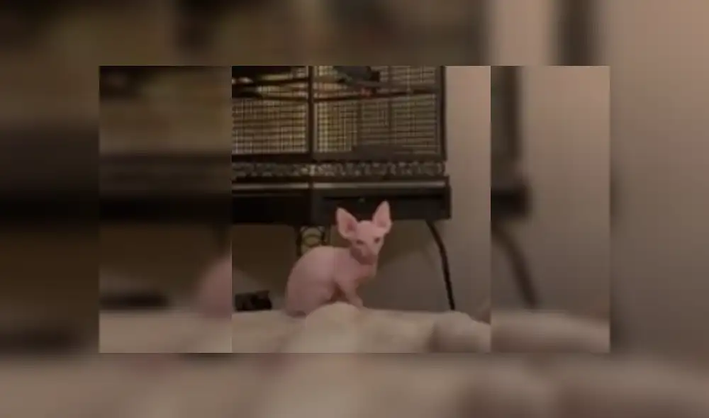 Desliza las imágenes para ver más detalles de esta escena que es viral en Facebook. Desliza las imágenes para ver más detalles de esta escena que es viral en Facebook.