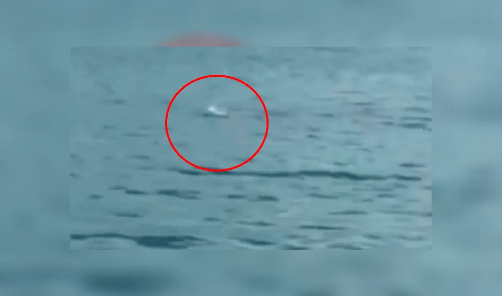 YouTube viral: ¿sirena sale del mar? Pescadores quedan impactados con extraña mujer [VIDEO]