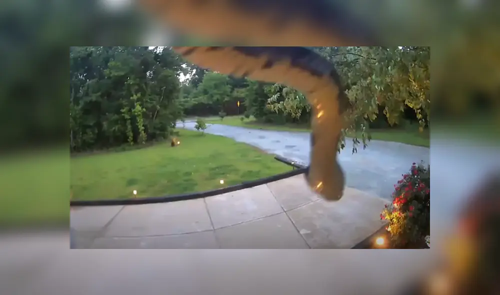 Desliza hacia la izquierda para ver las imágenes del viral de Facebook. Desliza hacia la izquierda para ver las imágenes del viral de Facebook.