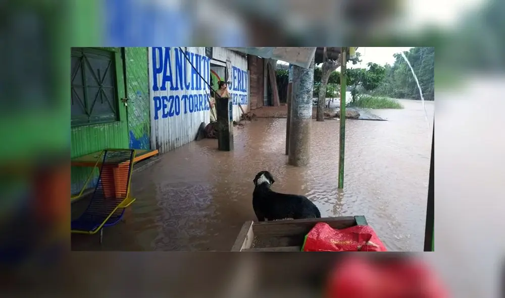 Pucallpa: calles lucen inundadas producto de intensas lluvias [FOTOS Y VIDEO]