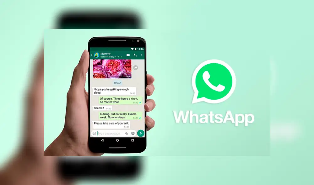 Una de las incognitas más recurrentes sobre WhatsApp finalmente ha sido desvelada.