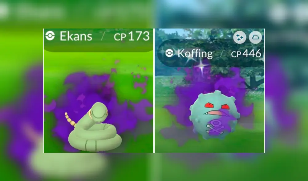 Ekans y Koffing oscuro shiny dejarían de aparecer en Pokémon GO. Foto: Pokémon GO. Ekans y Koffing oscuro shiny dejarían de aparecer en Pokémon GO. Foto: Pokémon GO.