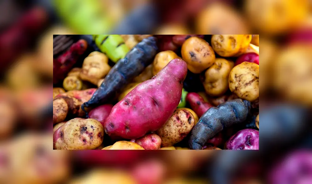 papas peruanas papas peruanas