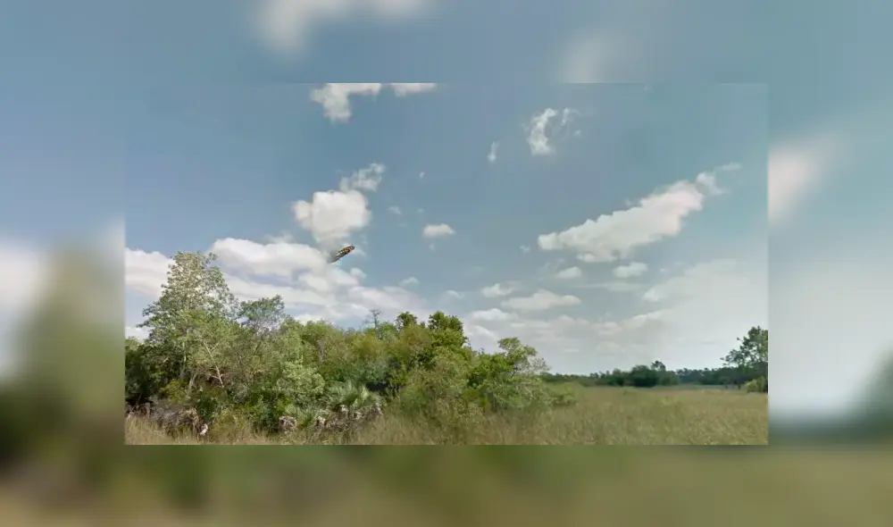 Google Maps: Creían que habían capturado un OVNI pero se llevaron terrible decepción [FOTOS] 