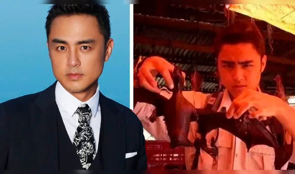 Internautas le piden al actor Minh Dao que abandone el mundo del espectáculo después de aparecer un video de él comiendo carne de murciélago. Internautas le piden al actor Minh Dao que abandone el mundo del espectáculo después de aparecer un video de él comiendo carne de murciélago.